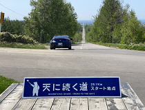 �V�ɑ�����